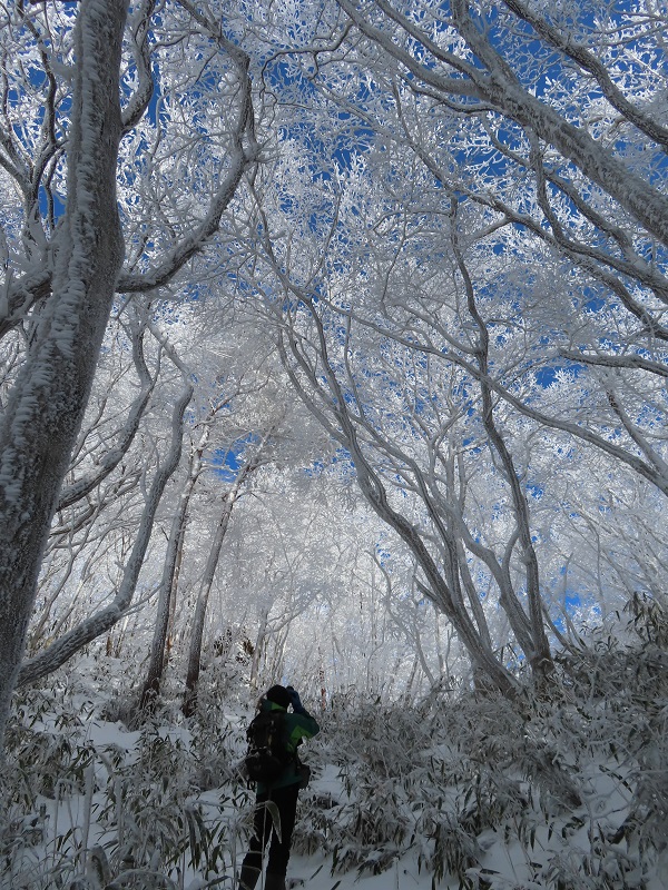 霊山に冬の神が舞い降りる