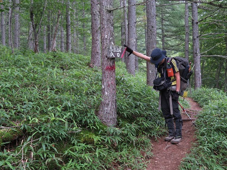 鳳凰山の3つの峰をめぐり歩く
