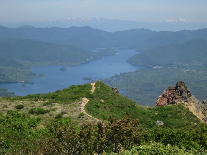 磐梯山　～初夏の風にゆれるバンダイクワガタ～