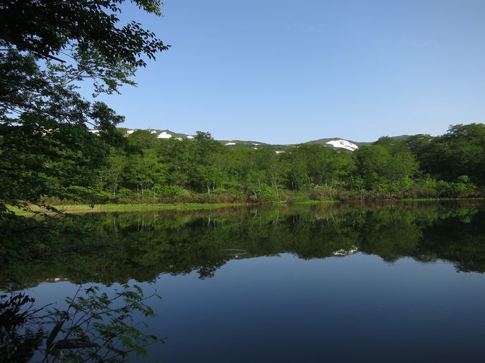 焼石岳　～花々を愛でながら～