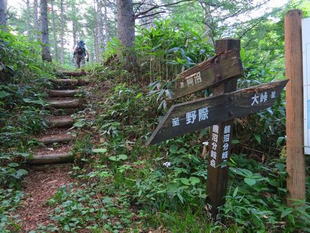 裏那須山域のお花畑