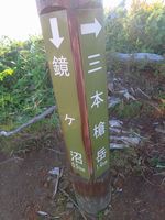 裏那須山域のお花畑