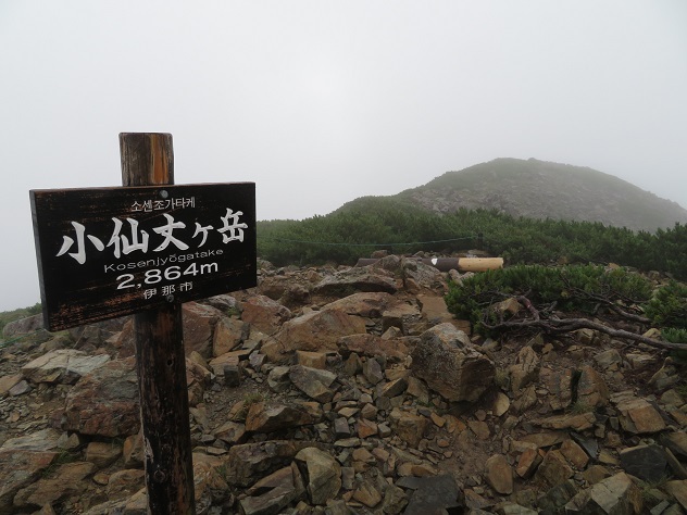 柔の仙丈ケ岳