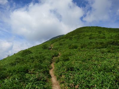 裏那須山域のお花畑