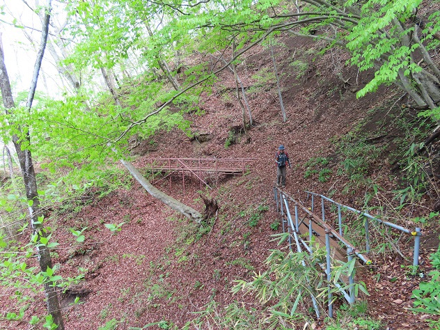 “山笑う”　霊山