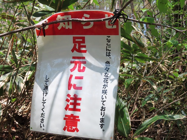 “山笑う”　霊山