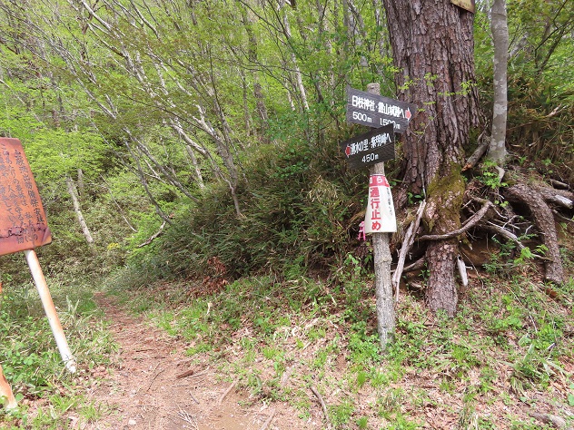“山笑う”　霊山