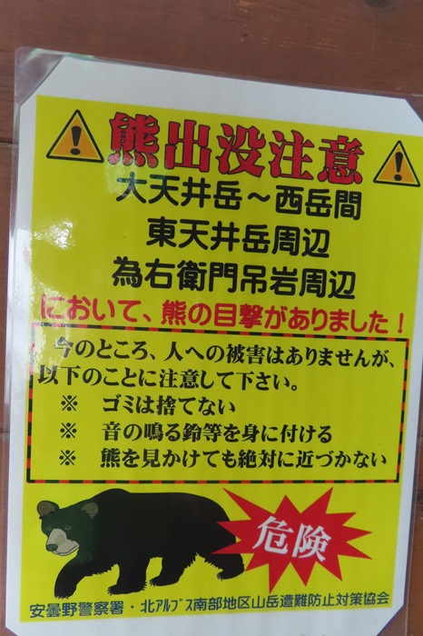 熊と出会ってしまった　蝶ヶ岳