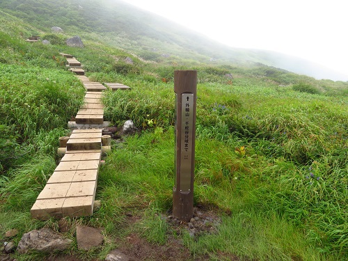 オコジョに魅了される～鳥海山～