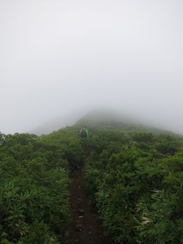金光花の栗駒山もいいけど秣岳ね