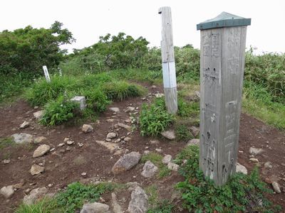 金光花の栗駒山もいいけど秣岳ね