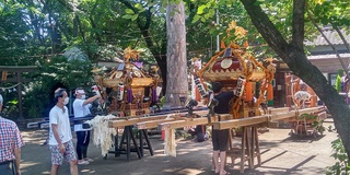 山ヤの書斎 夏祭り 敷島神社 志木市