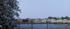 満開近し 2019/04/07 22:14:39