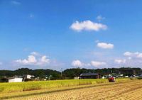 2014稲刈り終了 2014/10/01 16:38:52