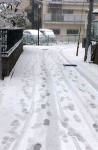 雪中行軍の通勤 2014/02/14 19:01:19