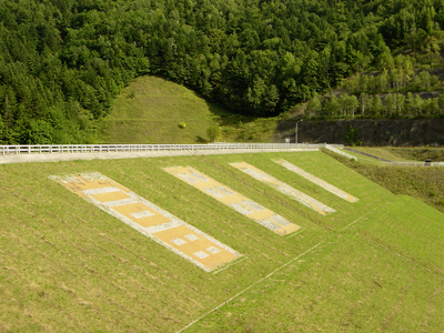 好天だしぶらっと仁頃山を登ってみた。