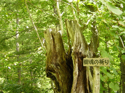 好天だしぶらっと仁頃山を登ってみた。