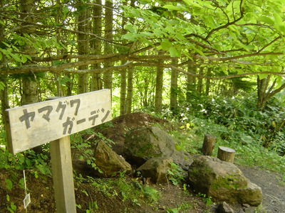 好天だしぶらっと仁頃山を登ってみた。