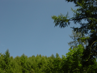 好天だしぶらっと仁頃山を登ってみた。