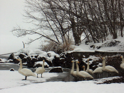 冬の和琴湖畔に一泊、雪の和琴半島を散策してみた。
