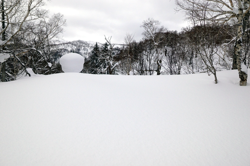 美比内山に登ってみた