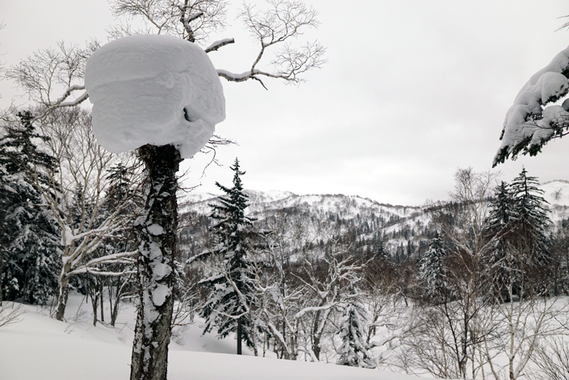 美比内山に登ってみた