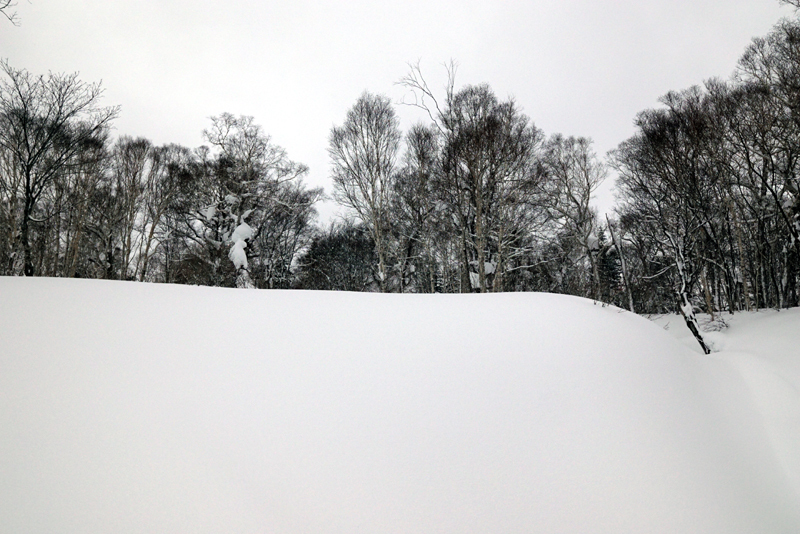美比内山に登ってみた