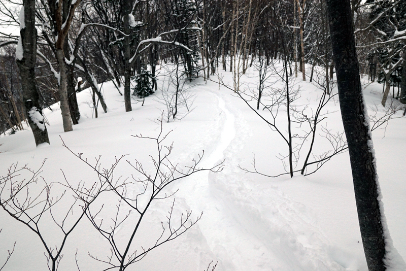 美比内山に登ってみた