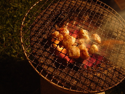 富里湖森林公園キャンプ場、ソロキャンプに顔だしてみた