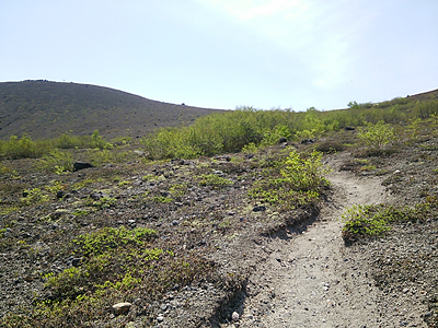 樽前山に登ってみた。