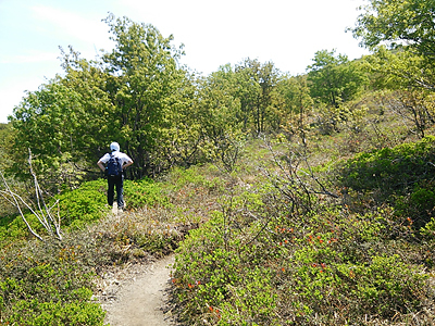 樽前山に登ってみた。
