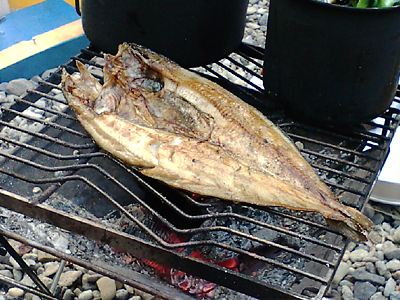 和琴湖畔川下りキャンプで財布を無くしかけた。