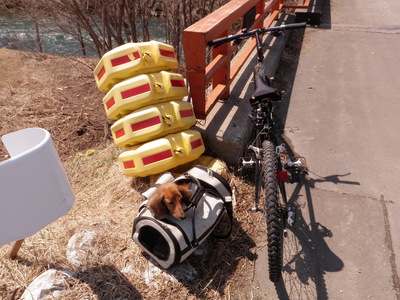 今年初めてのソロ川下りに行ってきた。
