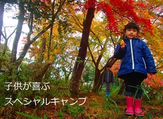 花キャン♪　Ⅴ 2016/11/29 10:30:38