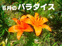 梅雨期の楽しいすごし方♪ 　１ 2016/06/20 12:00:00