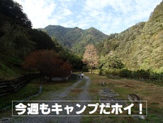 花キャン♪　Ⅳ 2016/11/03 12:00:00