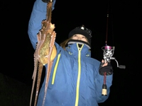 あれれ？ 2015/02/07 20:29:45