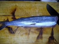 トビウオとホタテ(貝柱、肝、ヒモ)の刺身 2011/04/22 12:39:18