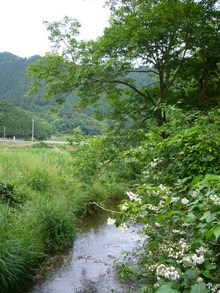 南光町自然観察村・・・・そのあと