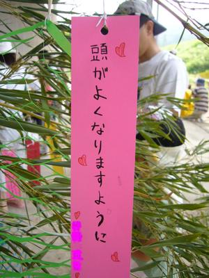 米作りしよう！！（第2回：草抜き）