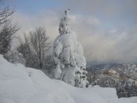 2週連続で出撃