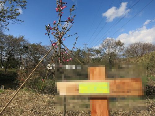 胸に秘めたミッションを in ファミリーパーク那須高原　前編