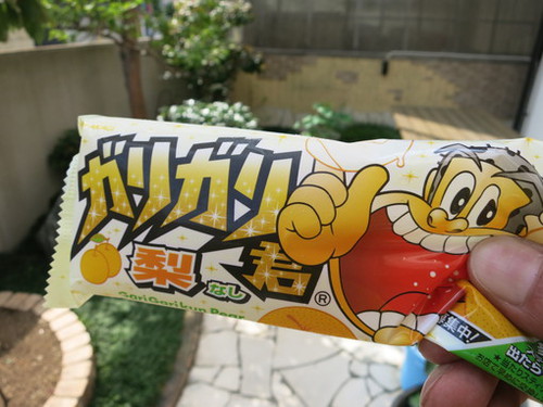 ガリガリ君　梨！！　旨っ！！
