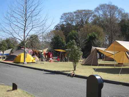 春爛漫in出会い　お天気最高編