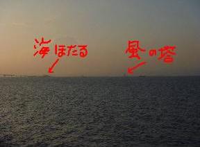 ２週連続のピクニック