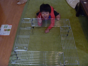 ファイアテーブルNITORI