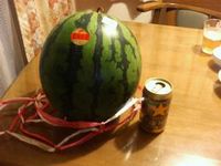 はうまっち？