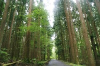 とやのさわオートキャンプ場！・・・（＾＾