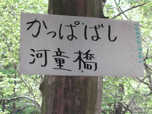 道志の森・・ソロ・・（＾＾