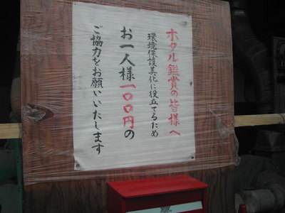 蛍観賞キャンプ！・・・（＾＾